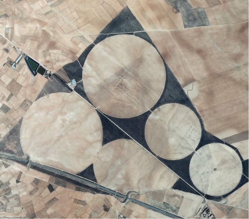 Asesoramiento técnico agrícola en Zaragoza