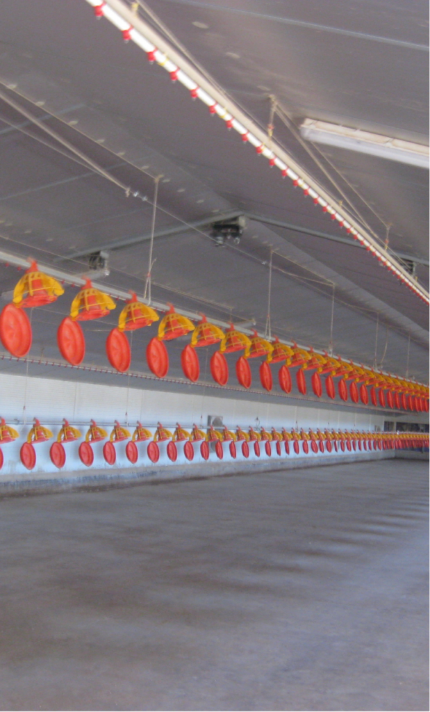 Consultoría agrícola en Zaragoza